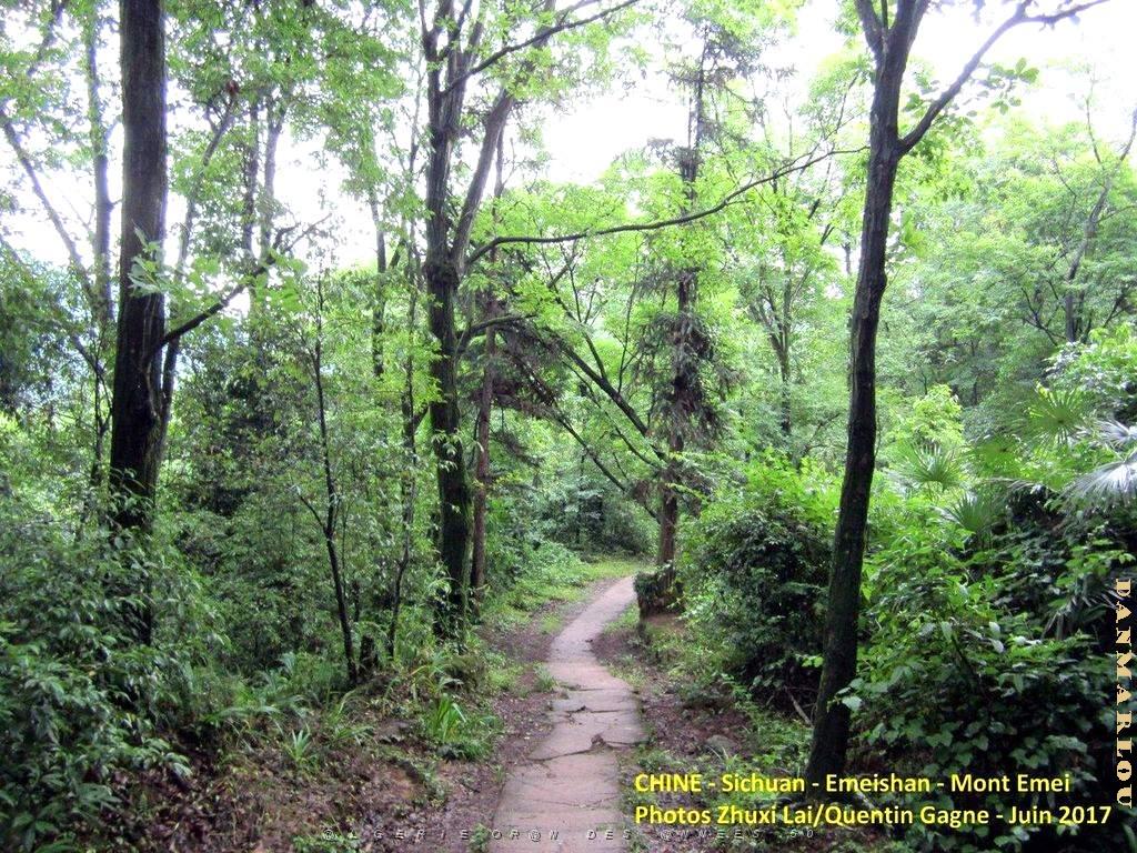 Emeishan 049.JPG